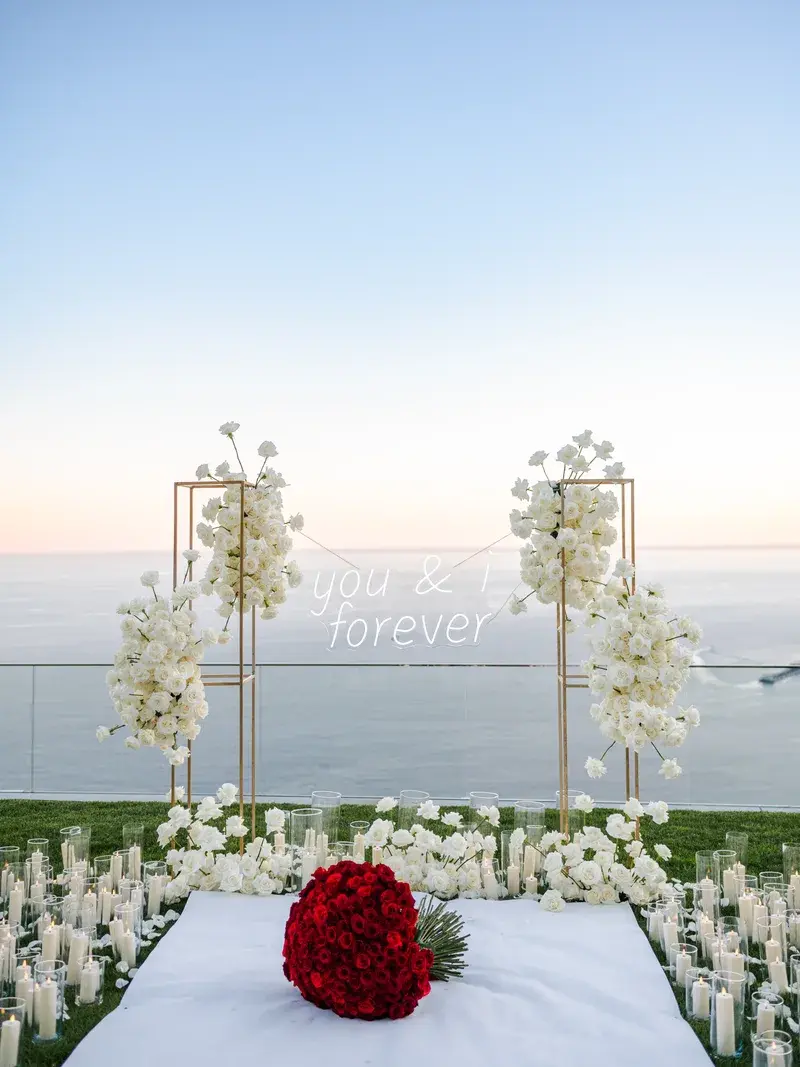 Demande en mariage, photo 1