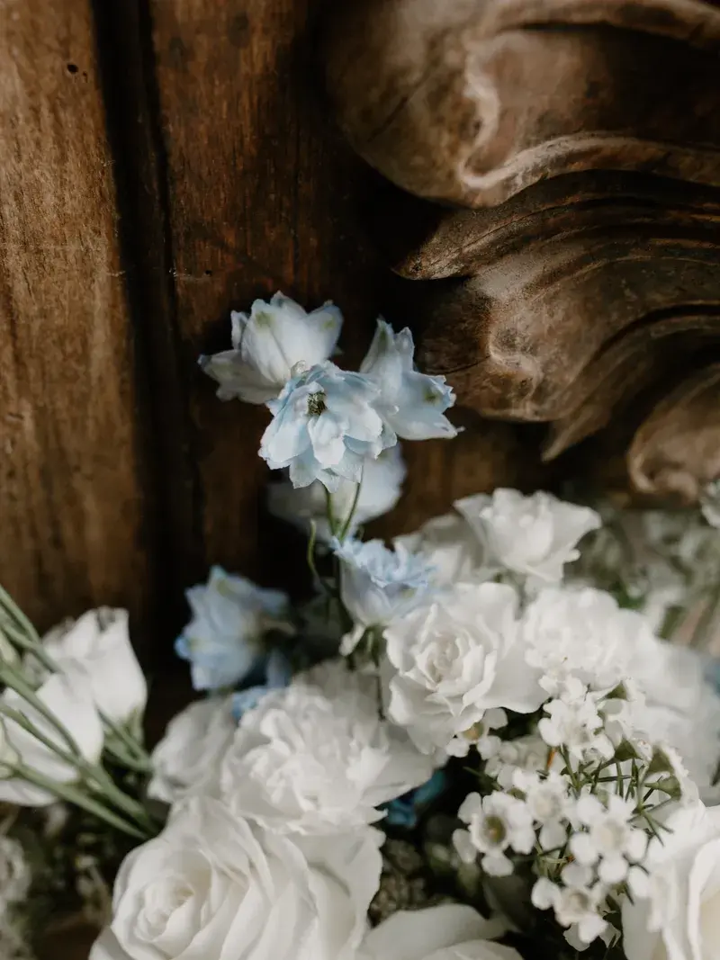 Wedding at Château de Robernier, Montfort-sur-Argens, photo 6